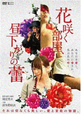 国产剧节奏变化资讯配图